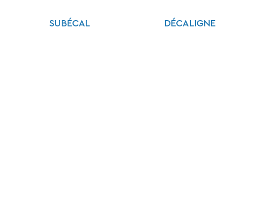 subitizing, numération, quantification, sens du nombre, calcul mental : le logiciel Subécal pour la rééducation de la cognition mathématique et la dyscalculie : complémentarité Décaligne