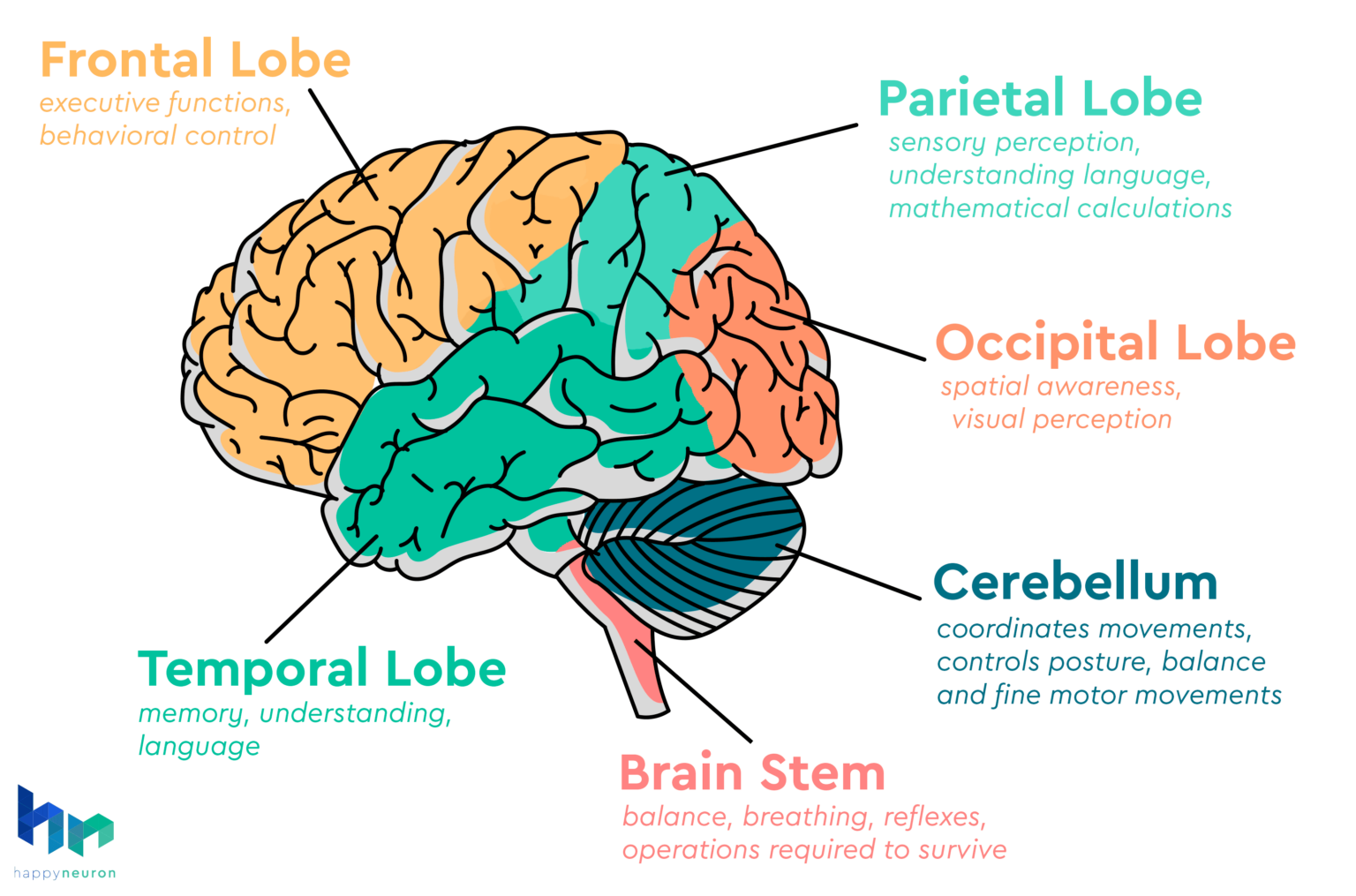 What are cognitive functions happyneuron pro