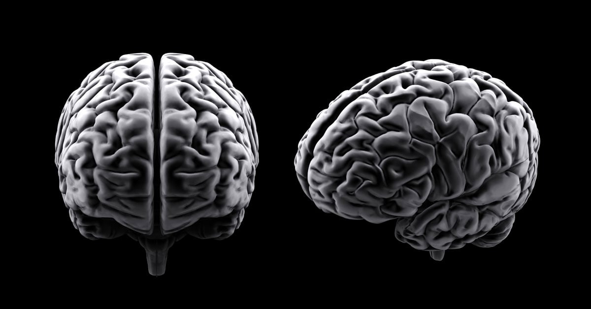Cognitive Functions