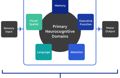 neurocognitive domains