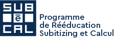 Subécal logiciel de rééducation de la cognition mathématique subiziting et calcul. Système numérique précis.