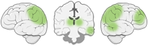 how points of view engages the brain.